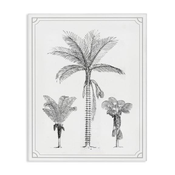Palm Tree Trio Sketches Canvas Wall Art, design by Lettered and Lined