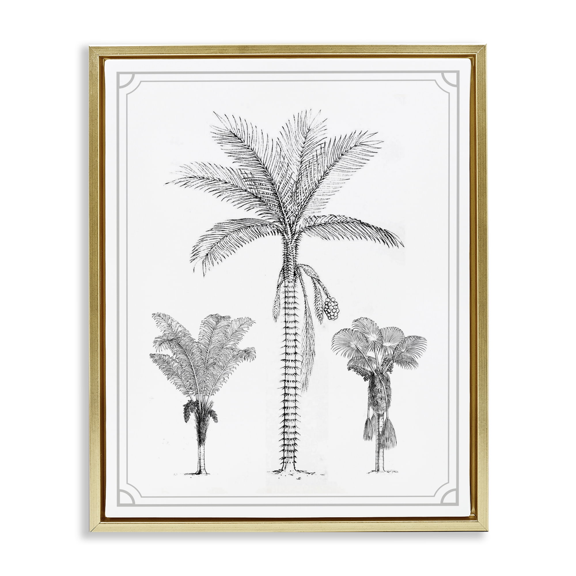 Palm Tree Trio Sketches Gold Framed Floater Canvas Wall Art, design by Lettered and Lined
