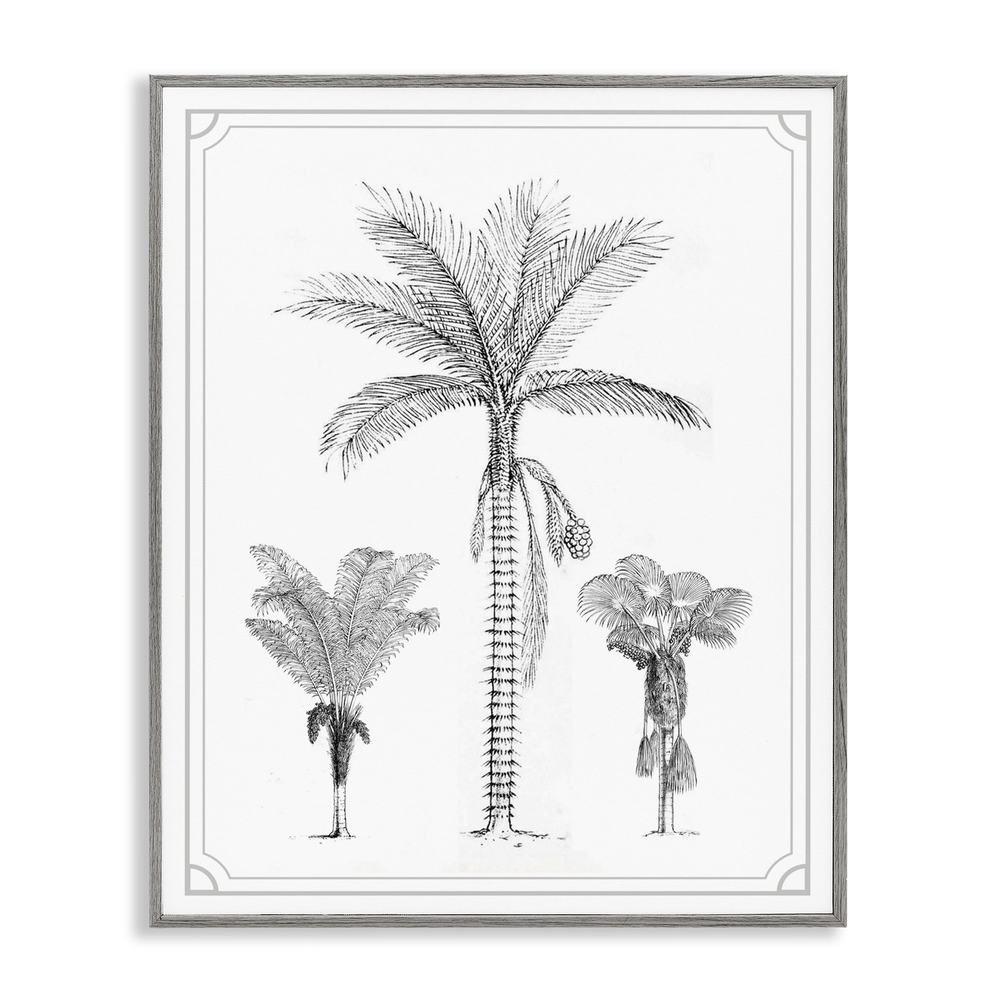 Palm Tree Trio Sketches Gray Framed Giclee Art, design by Lettered and Lined