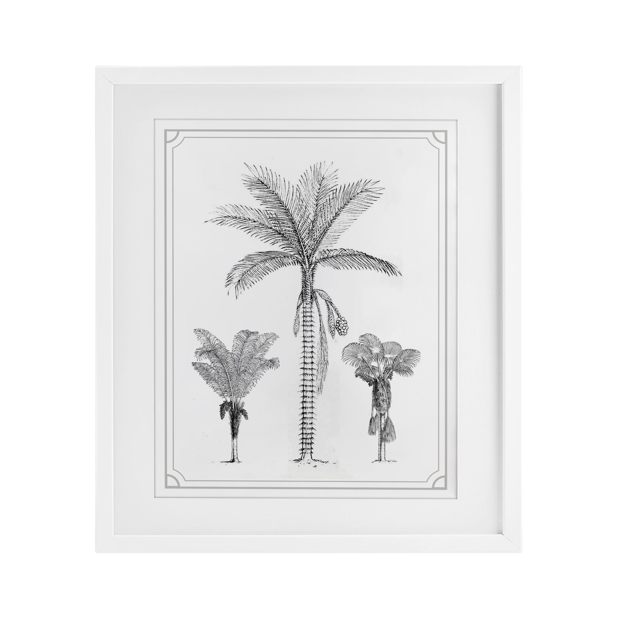 Palm Tree Trio Sketches White Framed Print Under Glass, design by Lettered and Lined