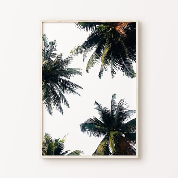 Palm Tree Tropical Nature Photography Minimalist Graphic Poster Unframed Paper Print