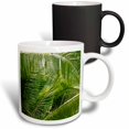 thumbnail image 1 of 3drose, Palm Trees, 11oz Magic Transforming Mug, 1 of 7