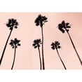 thumbnail image 1 of Palm Trees 1997 Copper Poster Print by Erik Asla, 1 of 2