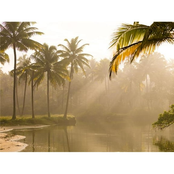 Palm Trees And Sunbeams Kerala India Poster Print