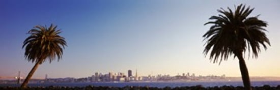 Palm Trees At Dusk San Francisco California USA Canvas Art - Panoramic Images (18 x 6)