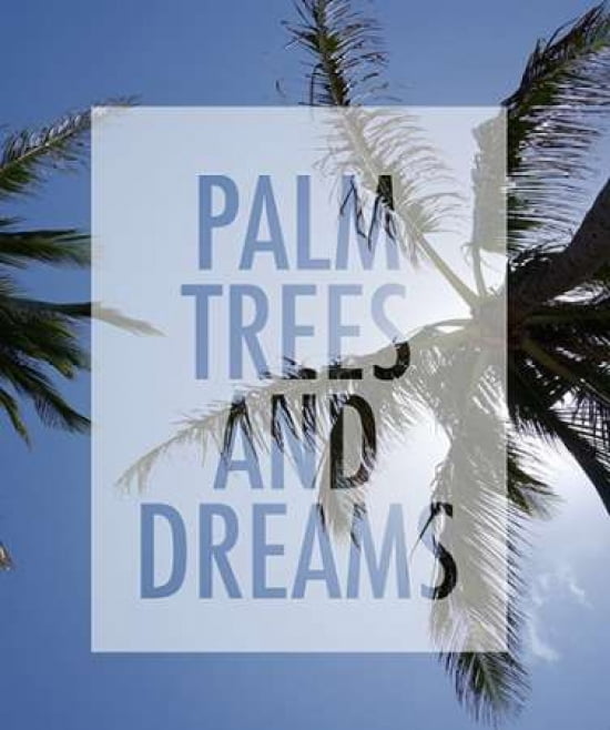 Palm Trees Canvas Art - Anna Quach (20 x 24)