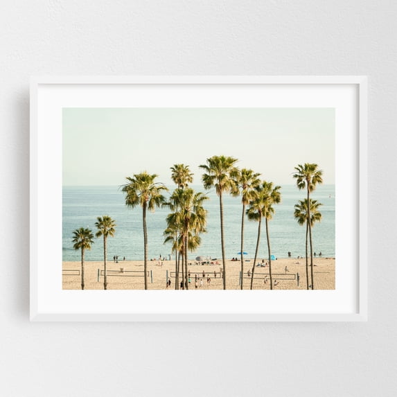Palm Trees, Corona Del Mar - Newport Beach California Photography Beach Palm Tree Coastal Tropical Seaside Summer Ocean White Framed Wall Art Print 12 x 18 inches