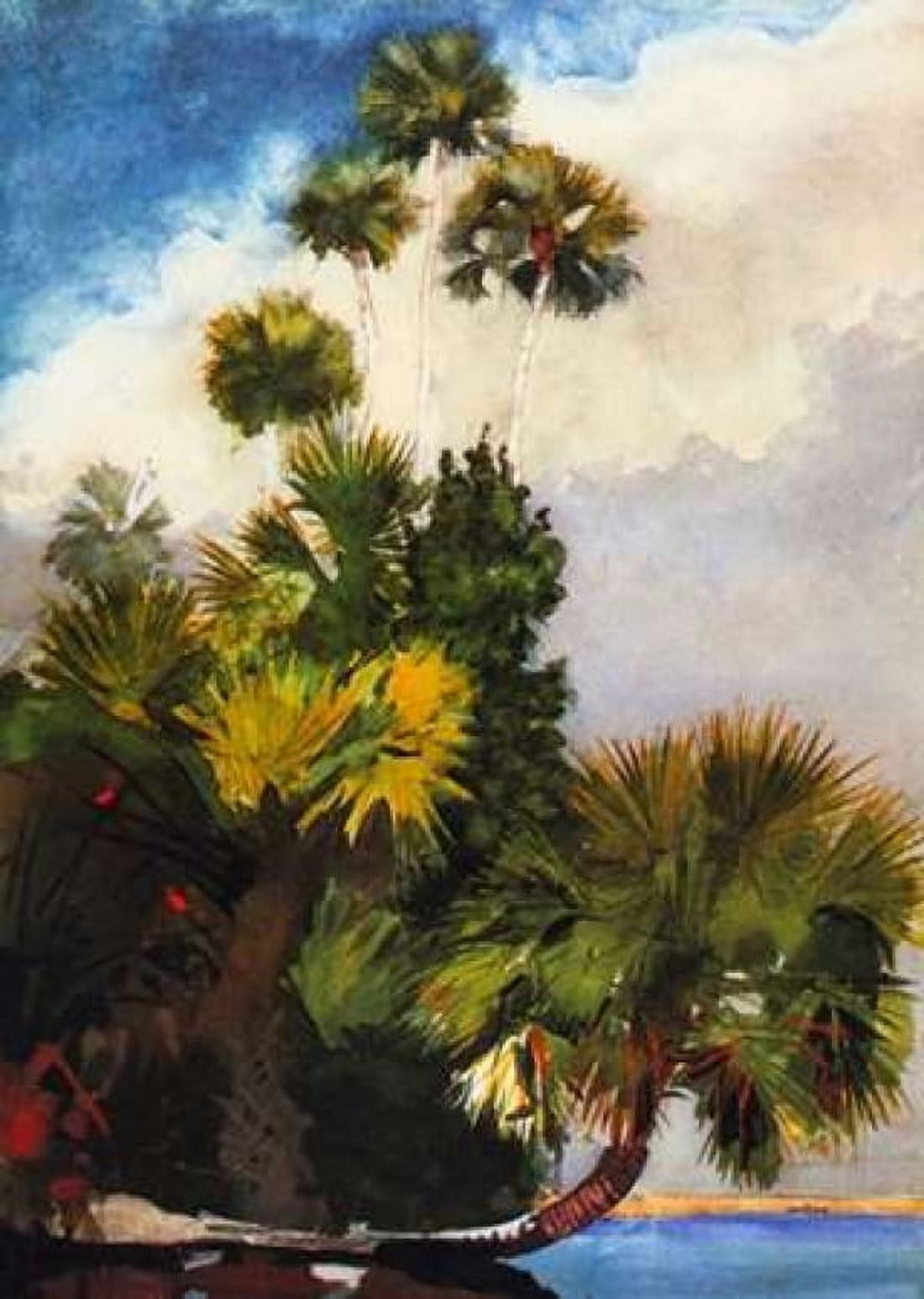 Palm Trees Florida Canvas Art - Winslow Homer (20 x 28)