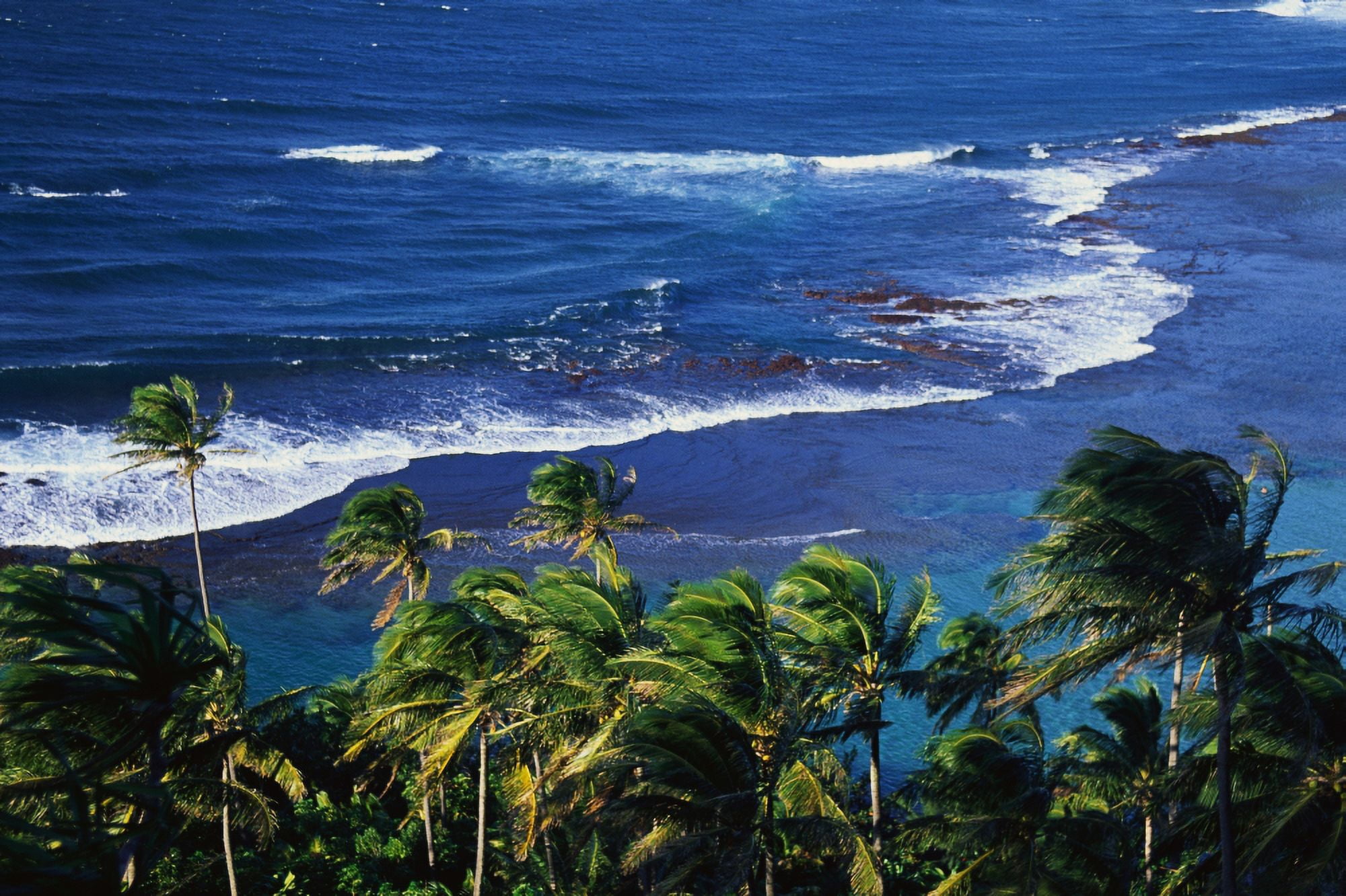 Palm Trees Kee Beach HI Canvas Art - Panoramic Images (27 x 9)