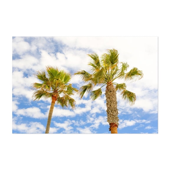 Palm Trees, Manhattan Beach, California - Manhattan Beach California Photography Palm Tree Tropical Nature Beach Summer Minimalist Coastal Unframed Wall Art Print 32 x 48 inches