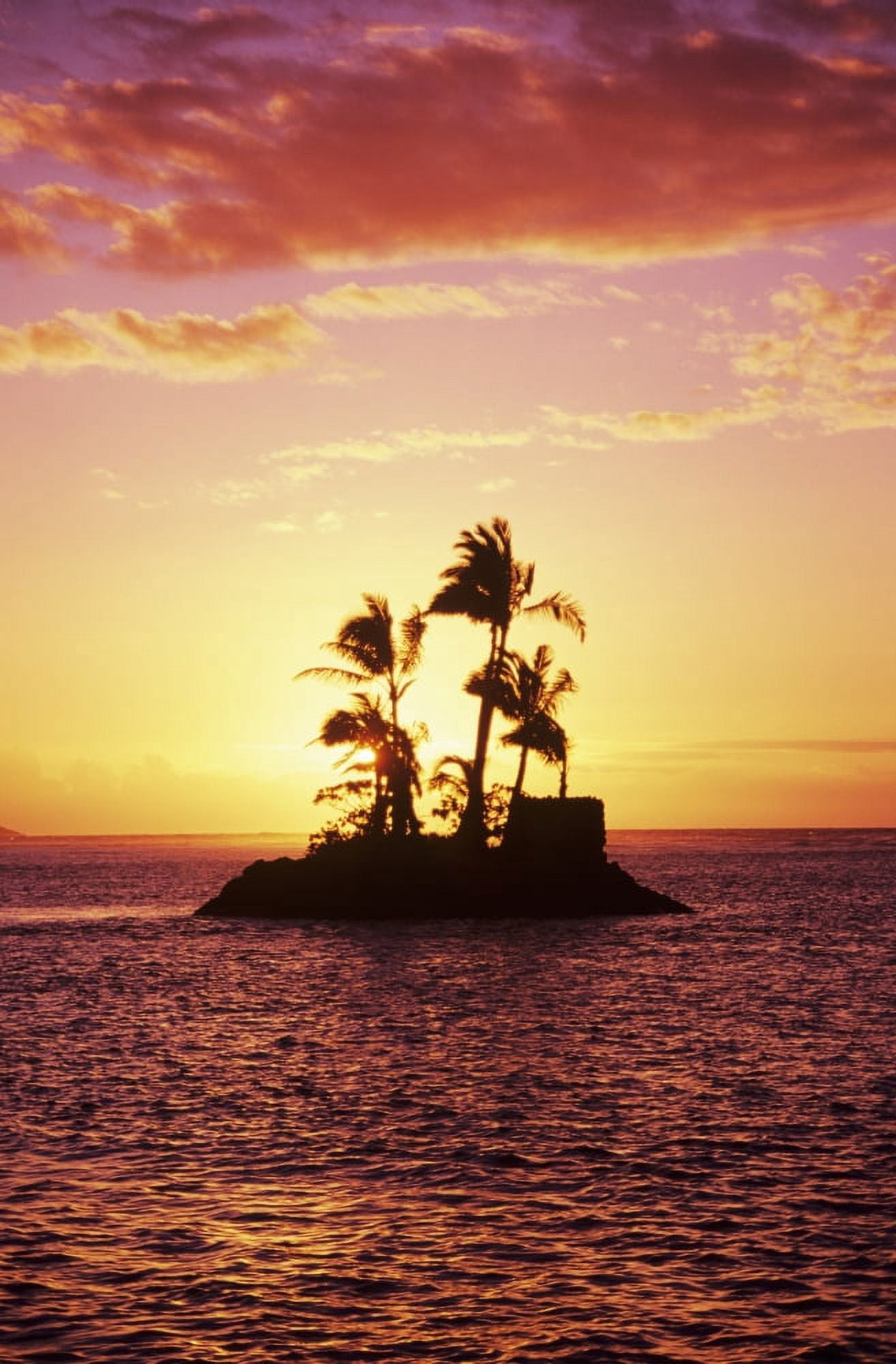 Palm Trees On Small Island Silhouetted Against Tropical Sunrise Canvas Art - Tomas del Amo Design Pics (11 x 17)