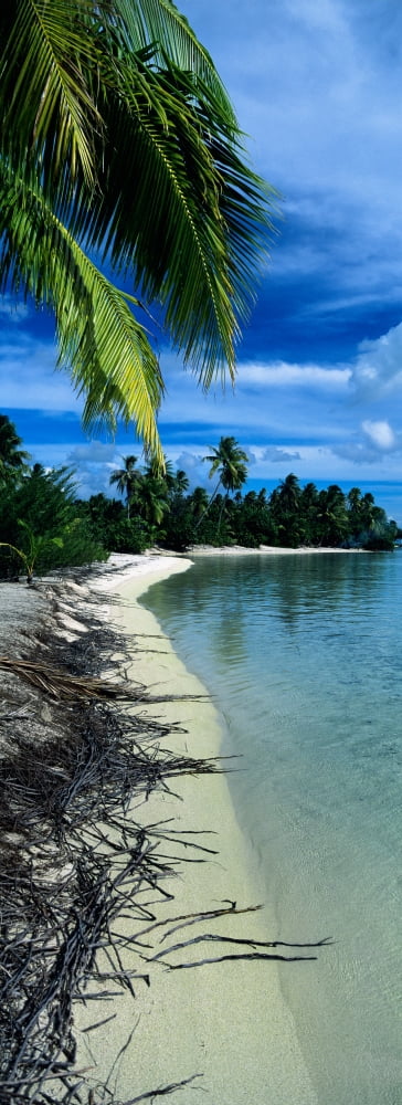 Palm Trees On The Beach French Polynesia Canvas Art - Panoramic Images (36 x 12)