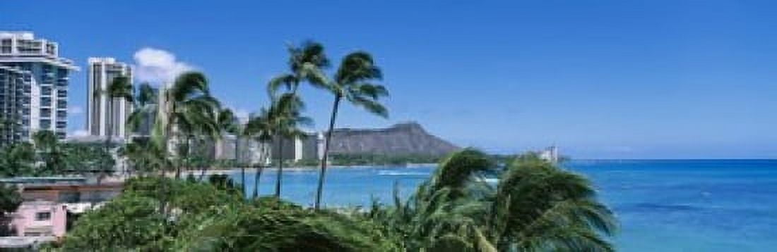 Palm Trees On The Beach Waikiki Beach Honolulu Oahu Hawaii USA Canvas Art - Panoramic Images (18 x 6)