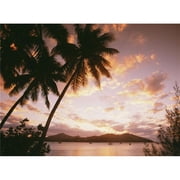 Palm Trees On Tropical Beach At Sunset, Nanuya Lai Lai Poster Print, 16 x 12