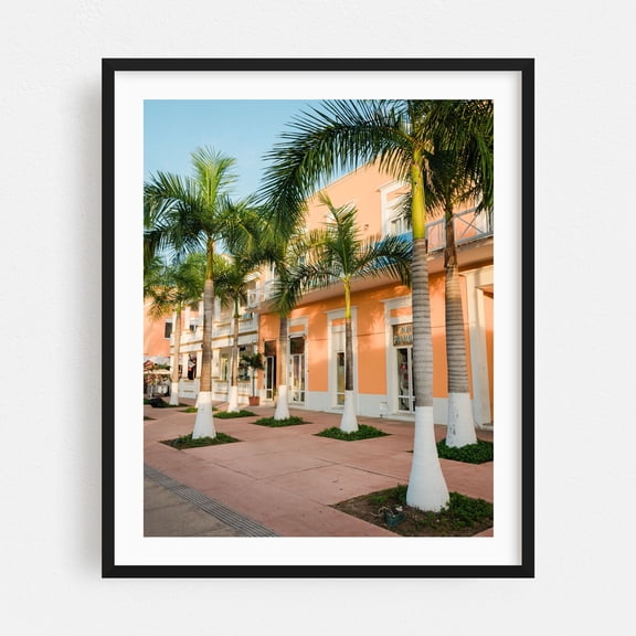 Palm Trees, Plaza del Sol - San Miguel de Cozumel Quintana Roo Mexico Photography Palm Tree Tropical Architecture Street Photography Cityscape Travel Poster Black Framed Wall Art Print 9 x 12 inches