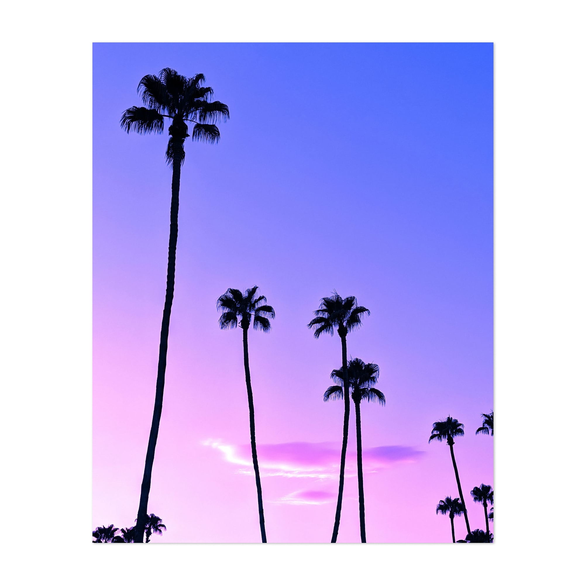 Palm Trees Sunset - Palm Springs California Photography Palm Tree ...