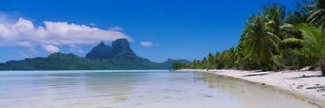 Palm Trees in Bora Bora French Polynesia Canvas Art - Panoramic Images (36 x 12)