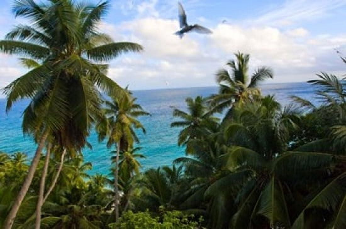 Palm Trees of Anse Victorin Beach Seychelles Africa Canvas Art - Alison Wright  DanitaDelimont (17 x 11)
