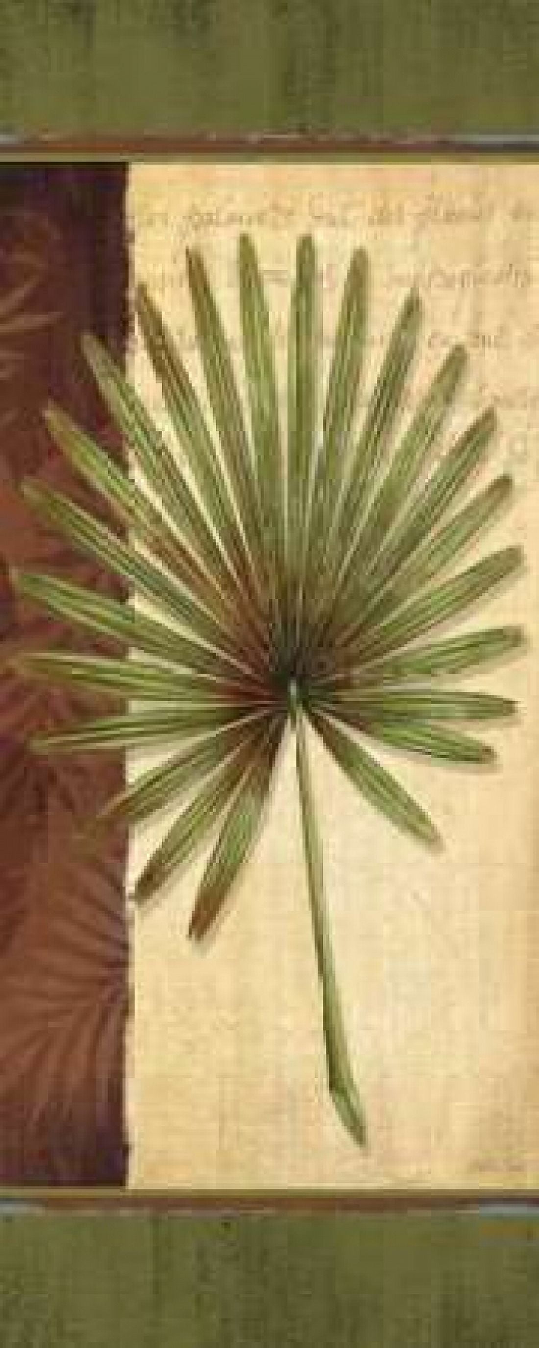 Palm Tropic Panel I Canvas Art - Delphine Corbin (24 x 48)