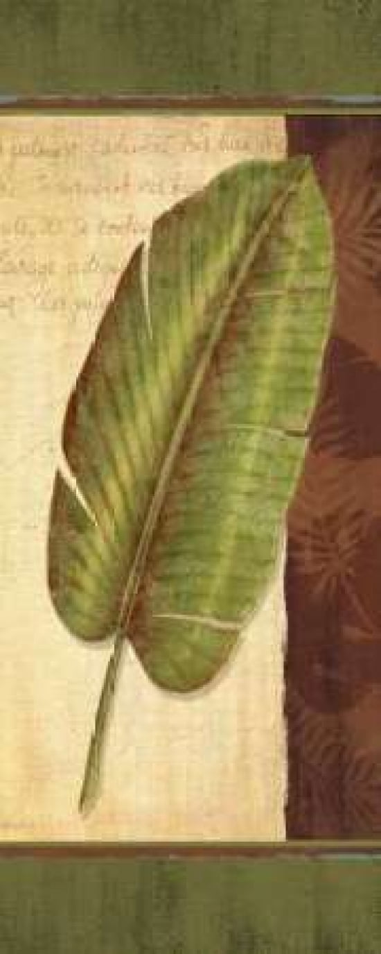 Palm Tropic Panel II Canvas Art - Delphine Corbin (24 x 48)