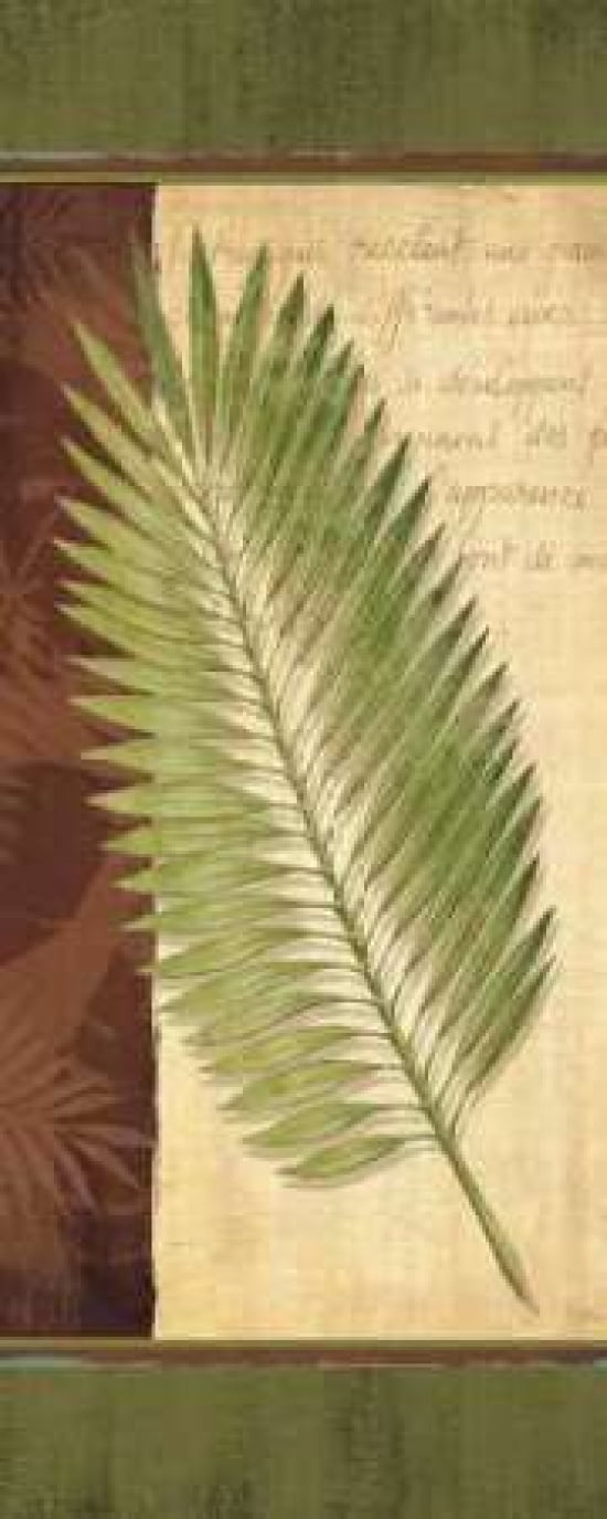 Palm Tropic Panel III Canvas Art - Delphine Corbin (24 x 48)