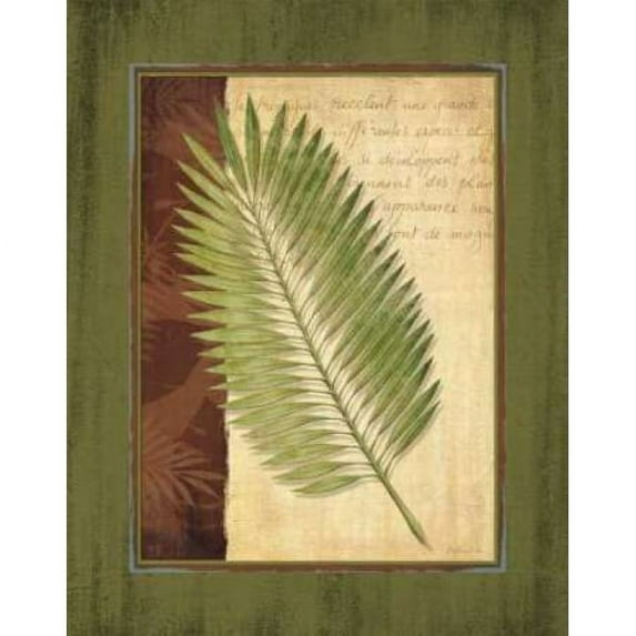 Palm Tropical III Poster Print by Delphine Corbin