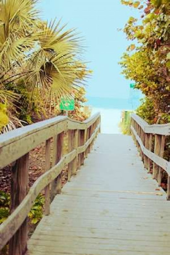 Palm Walkway II Canvas Art - Susan Bryant (24X36)