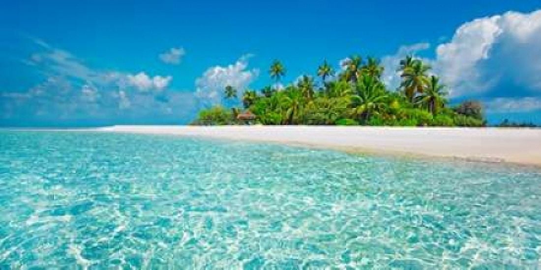 Palm island Maldives Canvas Art - Frank Krahmer (10 x 20)