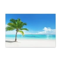 Palm on the beach in Daylight Ocean Canvas Wall Art for Home Decor Ready-to-Hang