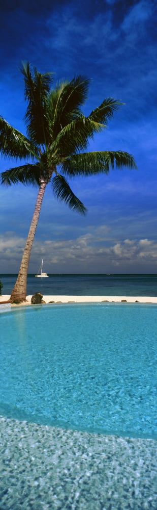 Palm tree by a pool overlooking the ocean Tahiti French Polynesia Canvas Art - Panoramic Images (9 x 30)