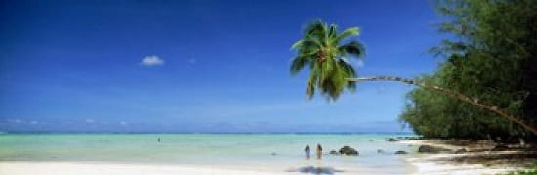 Palm tree extended over the beach Aitutaki Cook Islands Canvas Art - Panoramic Images (18 x 6)