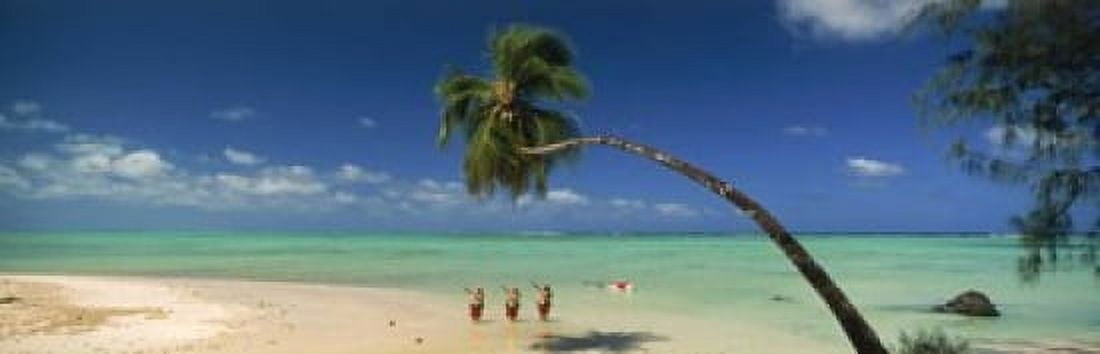 Palm tree extended over the beach Aitutaki Cook Islands Canvas Art - Panoramic Images (18 x 6)