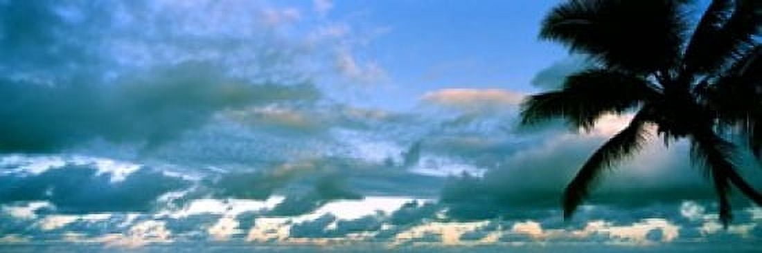 Palm tree on the beach Hawaii USA Canvas Art - Panoramic Images (18 x 6)