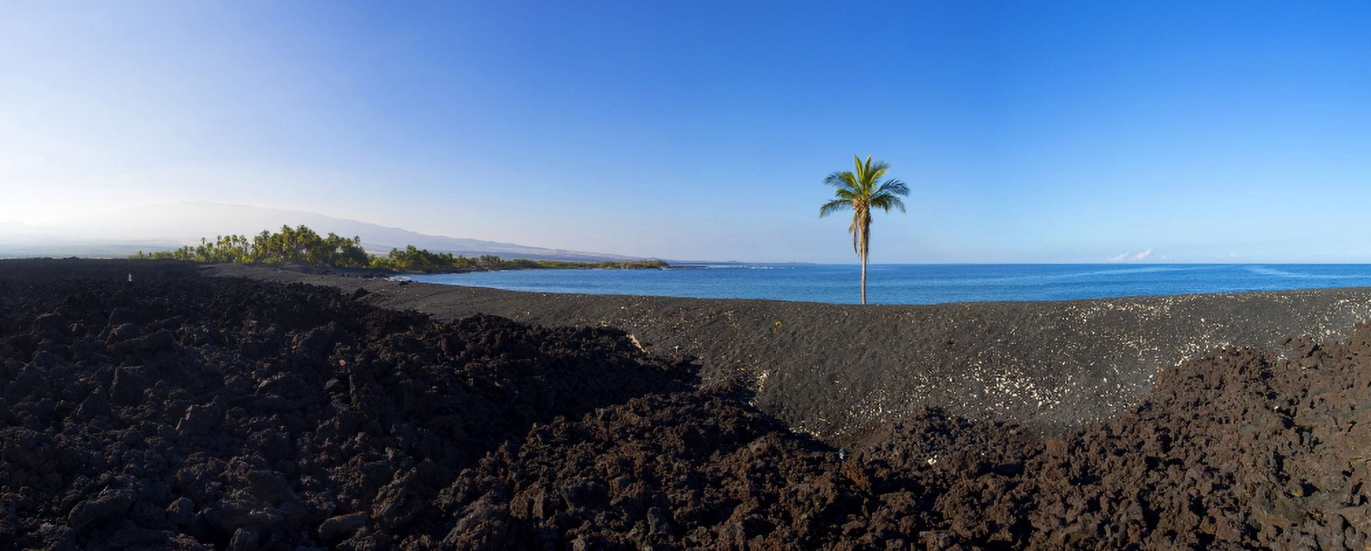 Palm tree on the beach Keawaiki Bay Black Sand Beach Kohala Big Island Hawaii USA Canvas Art - Panoramic Images (27 x 9)