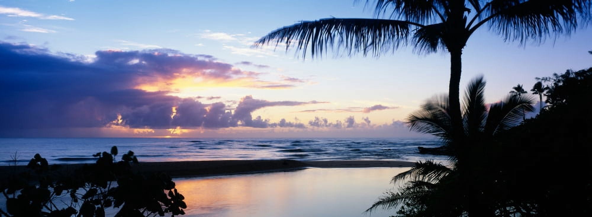 Palm tree on the beach Wailua Bay Kauai Hawaii USA Canvas Art - Panoramic Images (27 x 9)