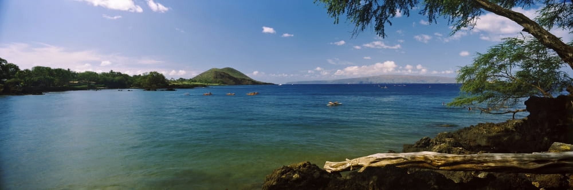 Palm tree on the coast Quiet Bay Oahu Hawaii USA Canvas Art - Panoramic Images (27 x 9)
