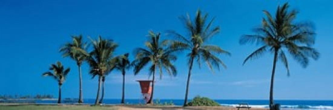 Palm trees Oahu HI USA Canvas Art - Panoramic Images (18 x 6)