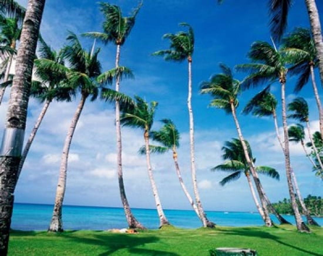 Palm trees Turkey Canvas Art - Panoramic Images (36 x 29)