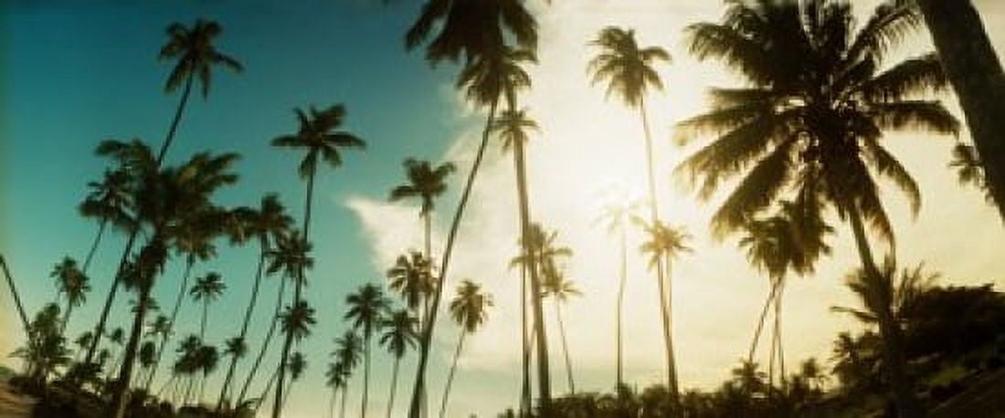 Palm trees along the beach in Morro De Sao Paulo Tinhare Cairu Bahia Brazil Canvas Art - Panoramic Images (30 x 13)