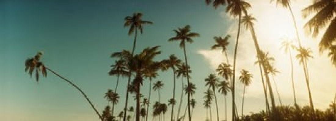 Palm trees along the beach in Morro De Sao Paulo Tinhare Cairu Bahia Brazil Canvas Art - Panoramic Images (36 x 13)