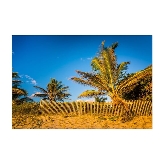 Palm trees at Coral Cove - Florida Photography Tropical Beach Palm Tree Coastal Landscape Summer Scenic Unframed Wall Art Print 40 x 60 inches