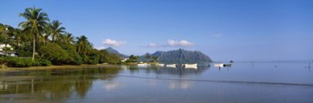Palm trees at a coast Kaneohe Bay Oahu Hawaii USA Canvas Art - Panoramic Images (18 x 6)