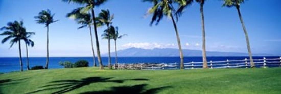 Palm trees at the coast Ritz Carlton Hotel Kapalua Molokai Maui Hawaii USA Canvas Art - Panoramic Images (18 x 6)