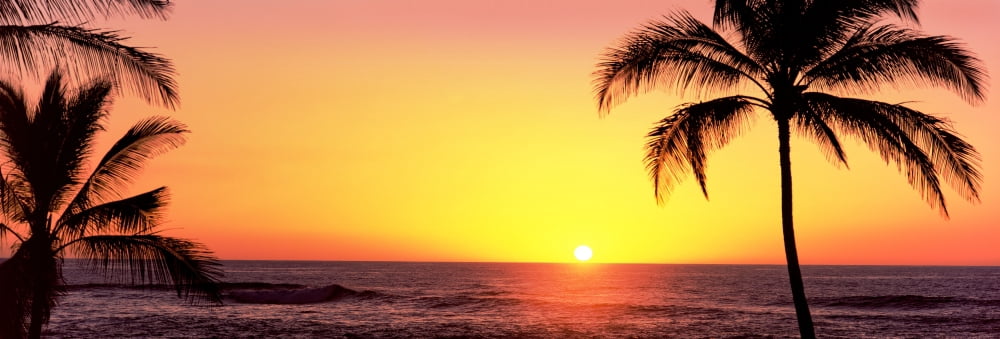Palm trees at the coast at sunset Waikoloa Hawaii County Hawaii USA Canvas Art - Panoramic Images (6 x 18)