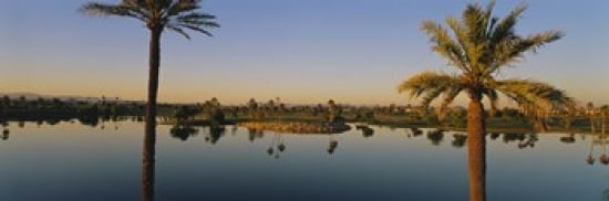 Palm trees at the lakeside Phoenix Maricopa County Arizona USA Canvas Art - Panoramic Images (36 x 12)