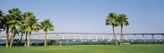Palm trees on the coast with bridge in the background Coronado Bay Bridge San Diego San Diego County California USA Canvas Art - Panoramic Images (36 x 12)