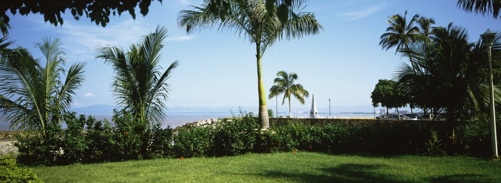 Palm trees in a garden Puerto Vallarta Jalisco Mexico Canvas Art - Panoramic Images (13 x 36)