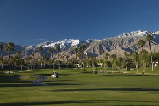 Palm trees in a golf course Desert Princess Country Club Palm Springs Riverside County California USA Canvas Art - Panoramic Images (24 x 16)