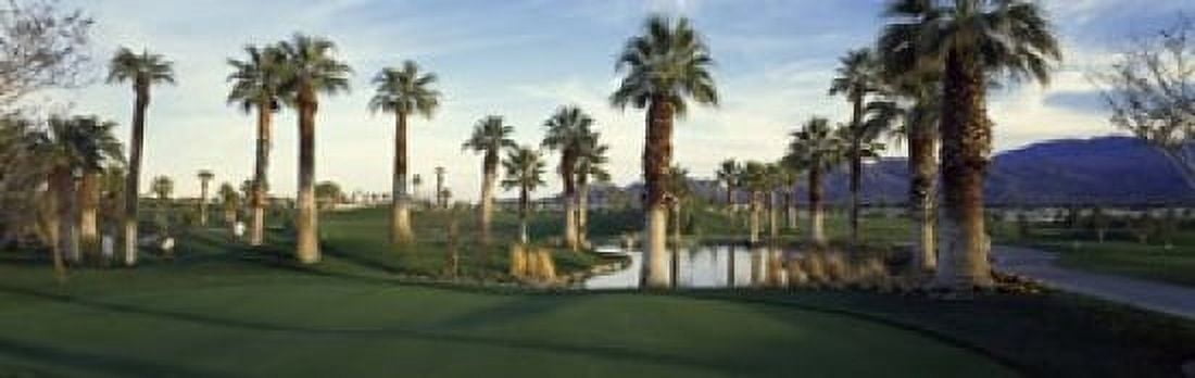 Palm trees in a golf course Desert Springs Golf Course Palm Springs Riverside County California USA Canvas Art - Panoramic Images (18 x 6)