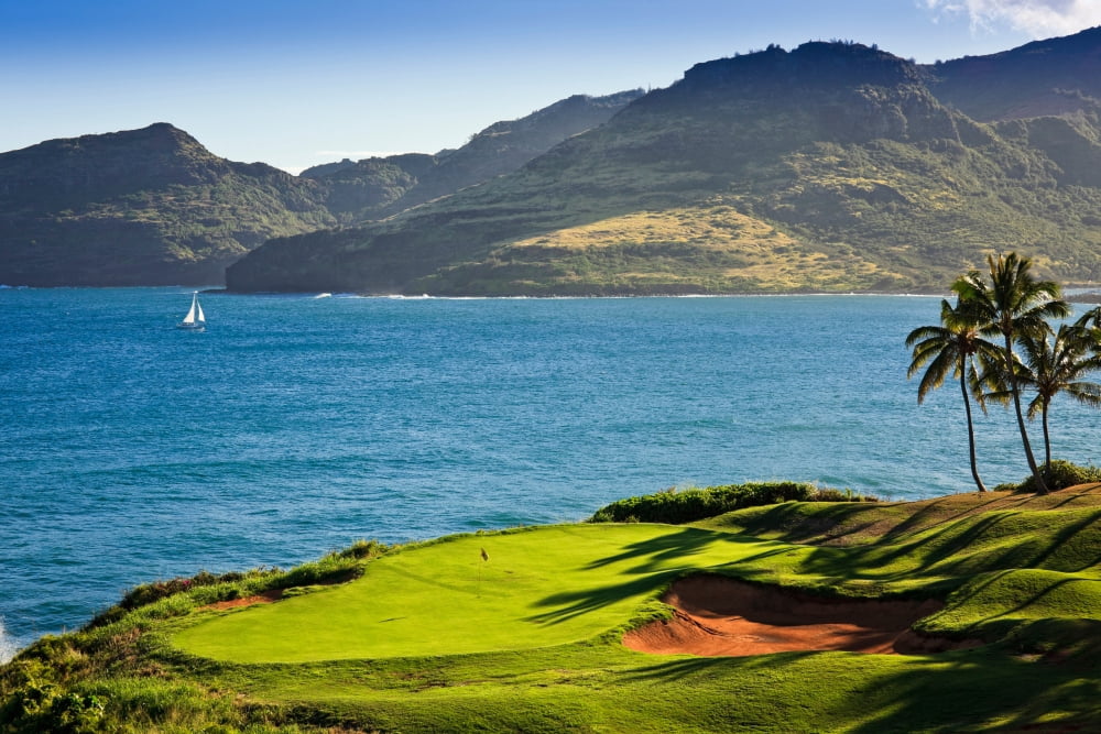Palm trees in a golf course Kauai Lagoons Kauai Hawaii USA Canvas Art - Panoramic Images (36 x 12)
